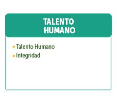 Item Talento Humano