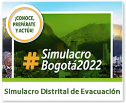 Simulacro Distrital de Evacuación