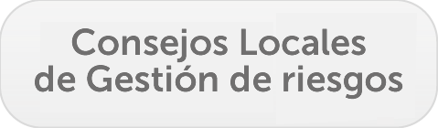 consejos locales de gestion del riesgo