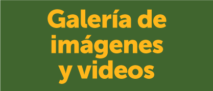 Galería Imágenes